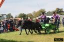 IMG_1305_28640x42729.jpg